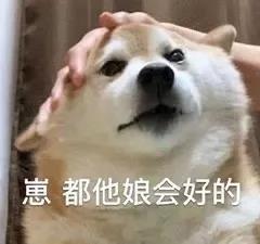 别再迷信混粮大法，小心猫狗患上肠胃炎！