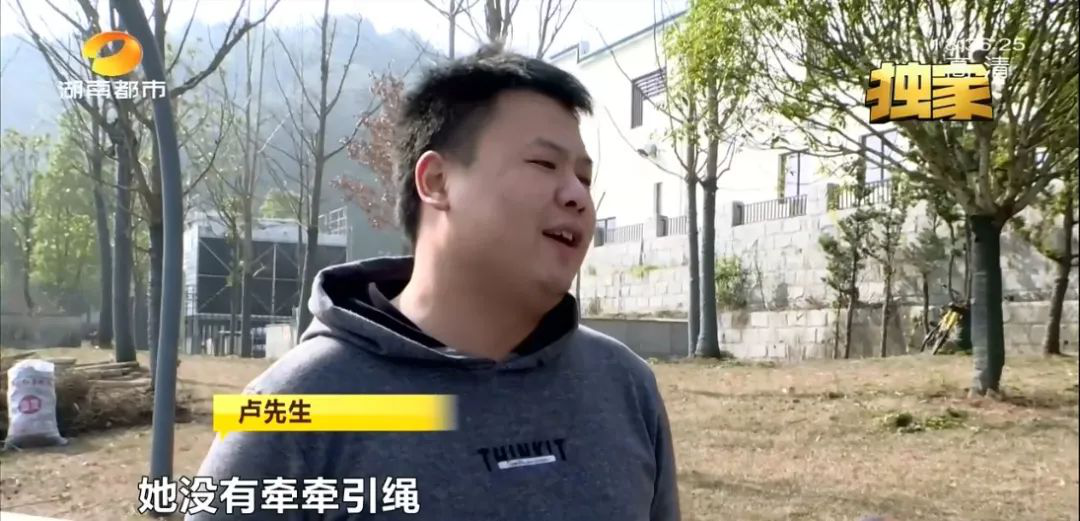 与朋友见面却被狗咬伤，做好养犬管理迫在眉睫