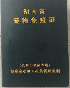 “最严”养犬条例已实施 长沙犬证办理最新指南看过来