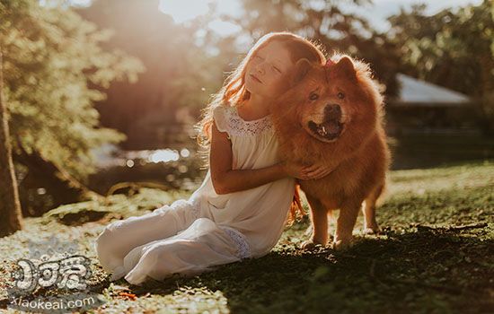 狗狗胆小怕人怎么办