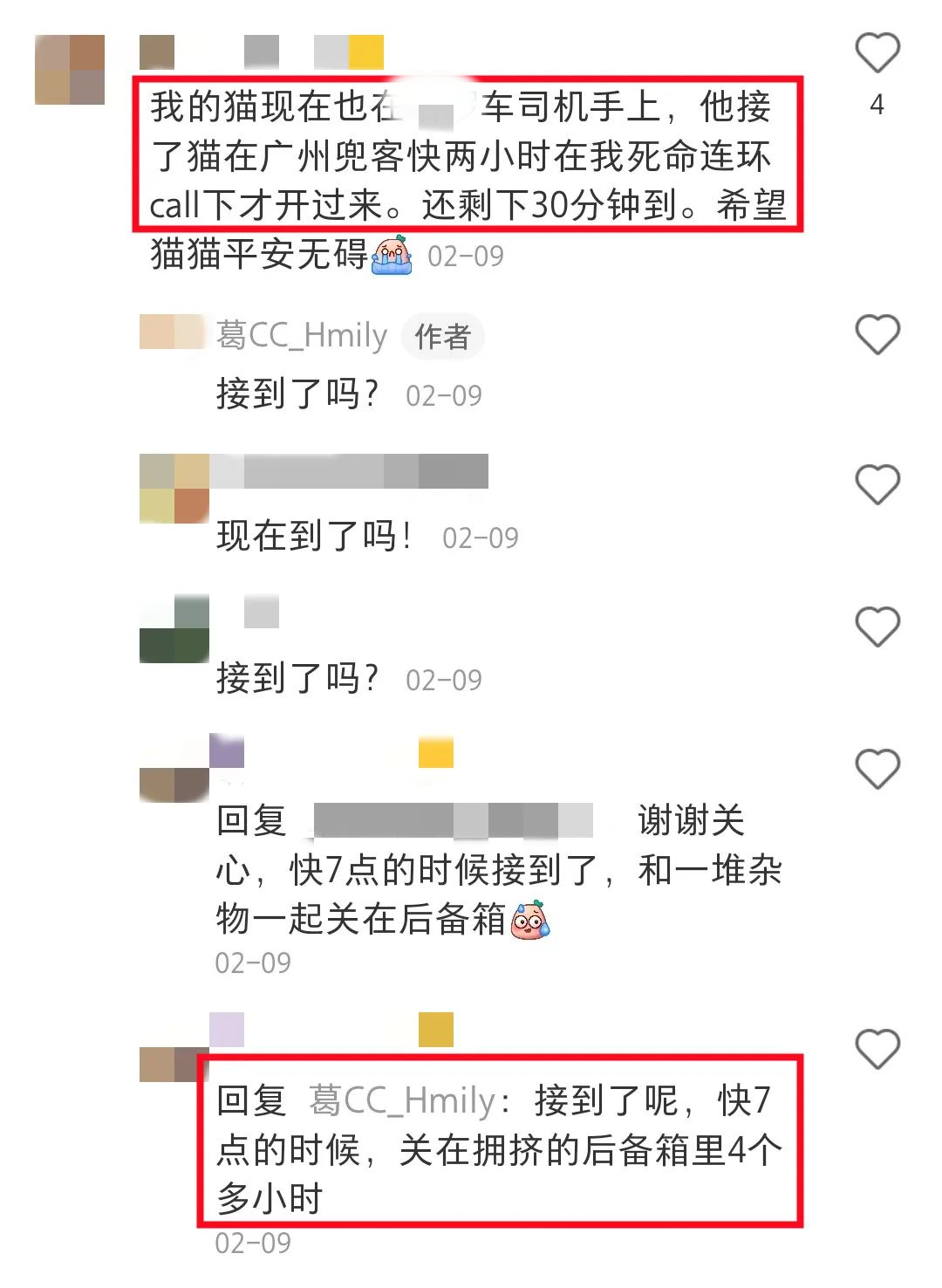 “花300元打的专车，却活活闷死了我的狗”